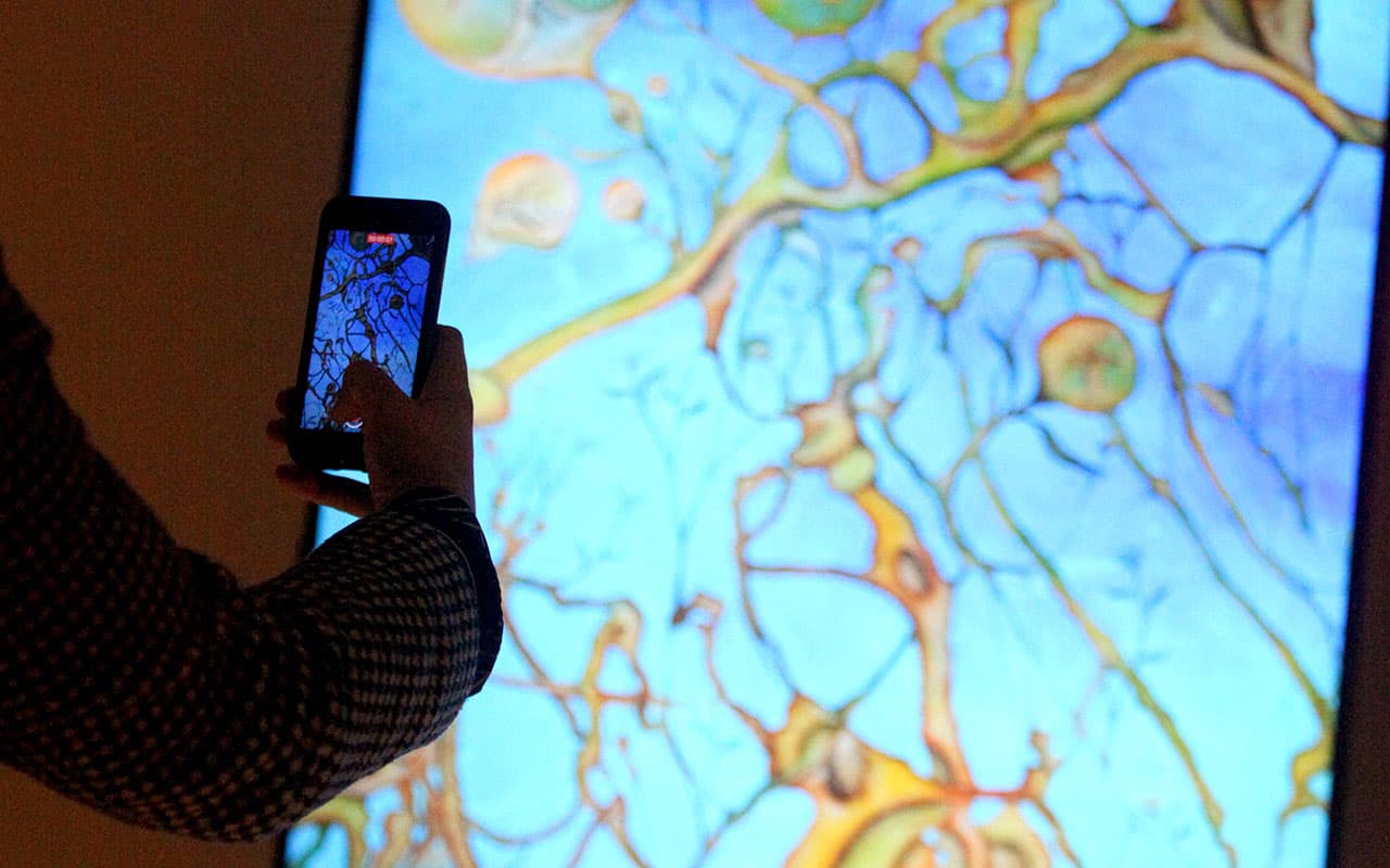 Accessibility, freedom and income in NFT format